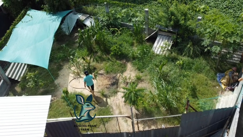 Trang trại Kanchil Phan Farm